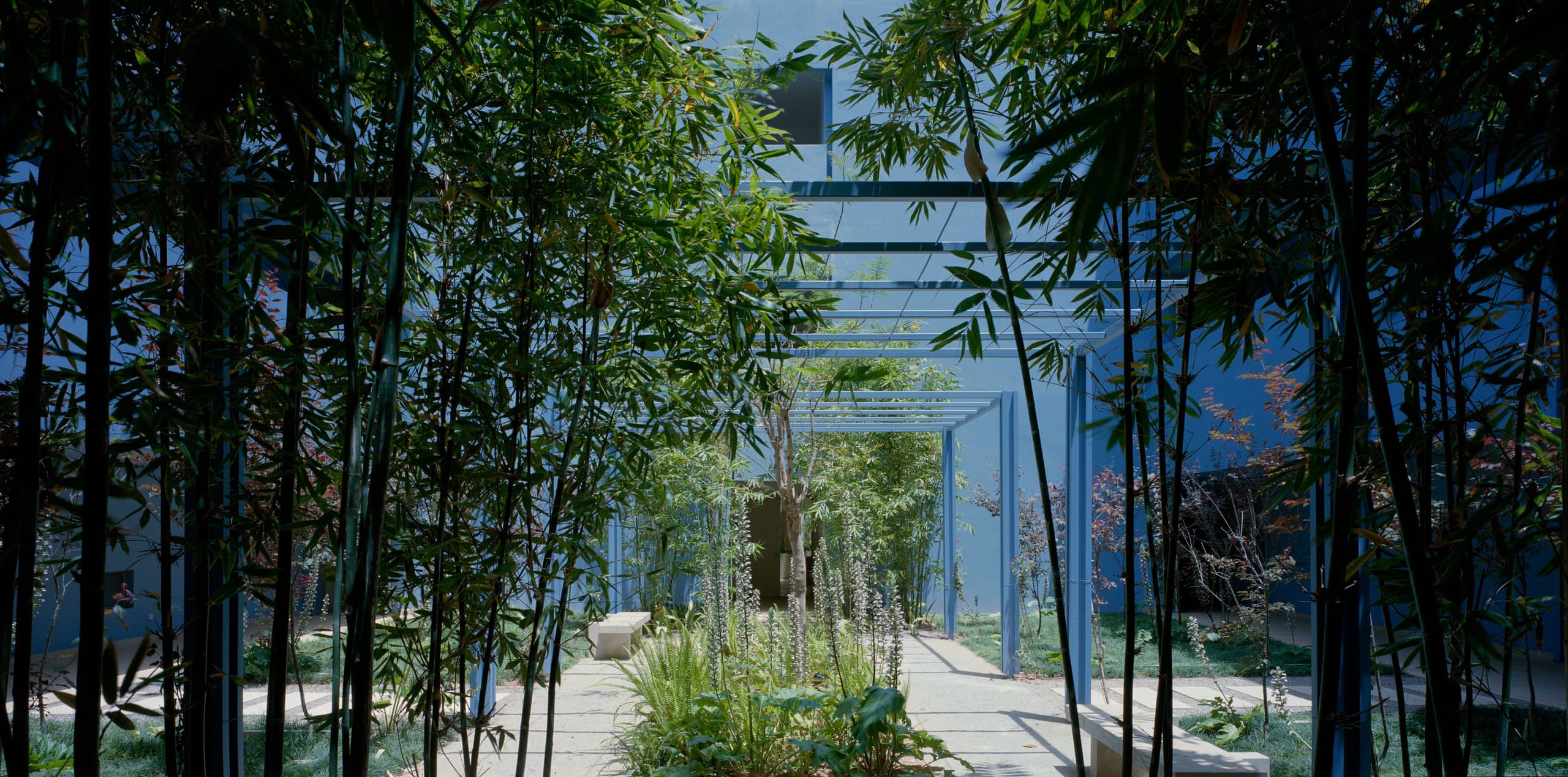 Bofill Taller De Arquitectura 2020 Um6p Phase 2 Rabat Image 23 Gregori
